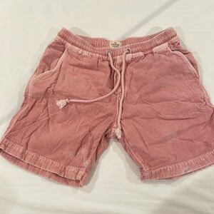Marine Layer Shorts (small)